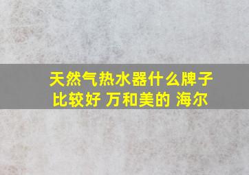 天然气热水器什么牌子比较好 万和美的 海尔